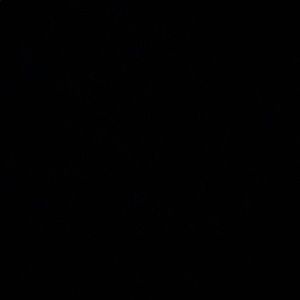 Meet your Posher, Devon